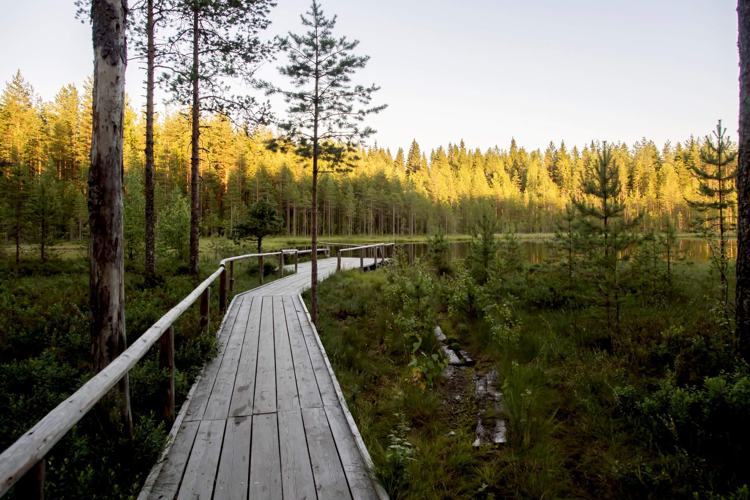 Det är dags att växa i Sverige möt vår nya Country Manager!